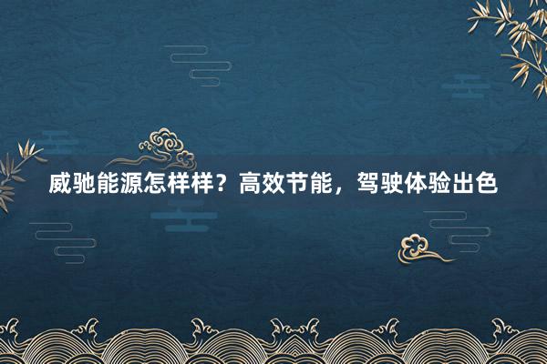 威驰能源怎样样？高效节能，驾驶体验出色