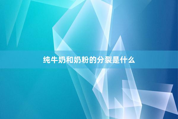 纯牛奶和奶粉的分裂是什么